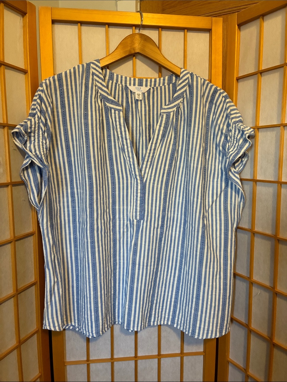 Time and Tru Blue and White Striped V-Neck Pullover Blouse